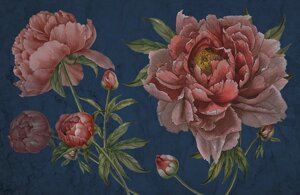 Pink Peony №1