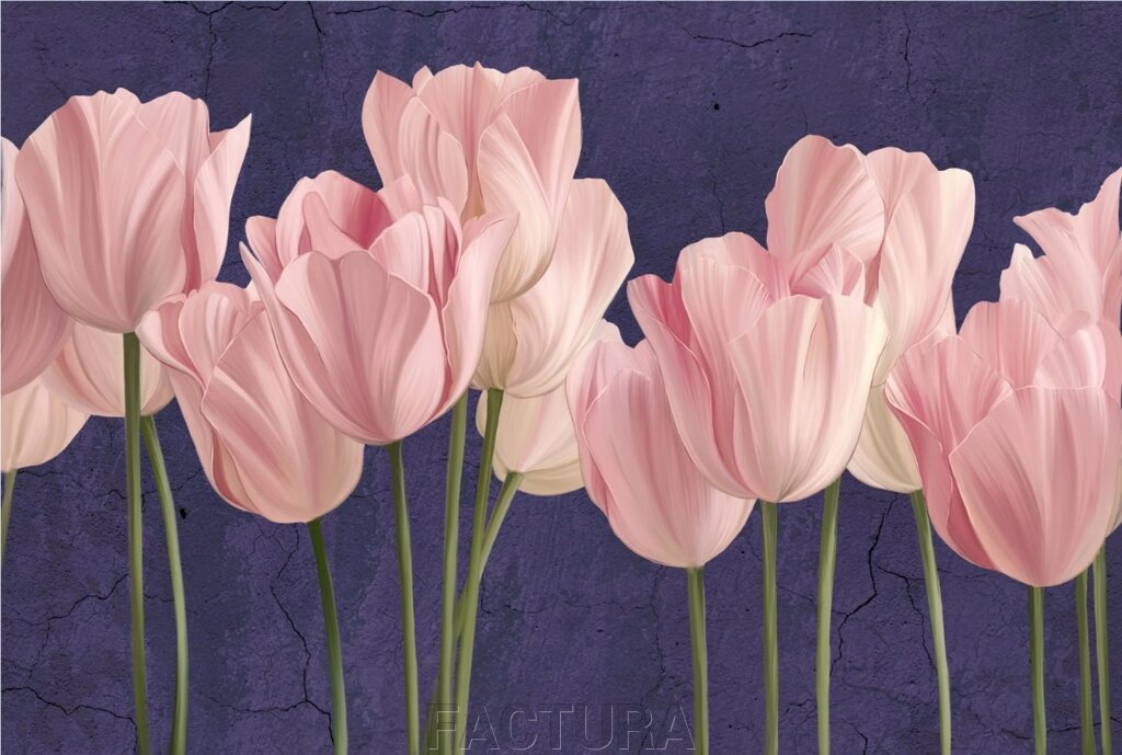 Tulips 11 - характеристики