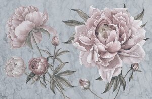 Pink Peony №7