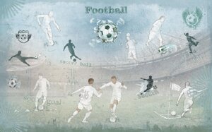 Футбол 1