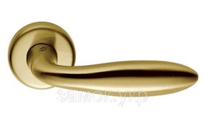 Ручка дверна Colombo Mach CD 81 матове золото (Італія)