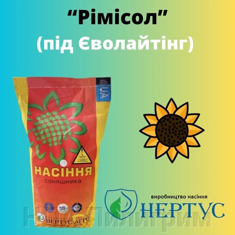 Насіння соняшника "Рімісол". Стійкий до Евролайтингу від компанії НПА Пілігрим - фото 1