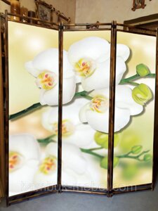 Декоративна Ширма в салон краси "Гілка білої орхідеї" 170х150см