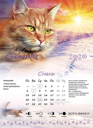 Календар «Світ Котів-вояків 2020» В асортименті від компанії ychebnik. com. ua - фото 1