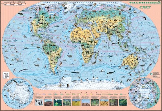 Карта тварин світу від компанії ychebnik. com. ua - фото 1