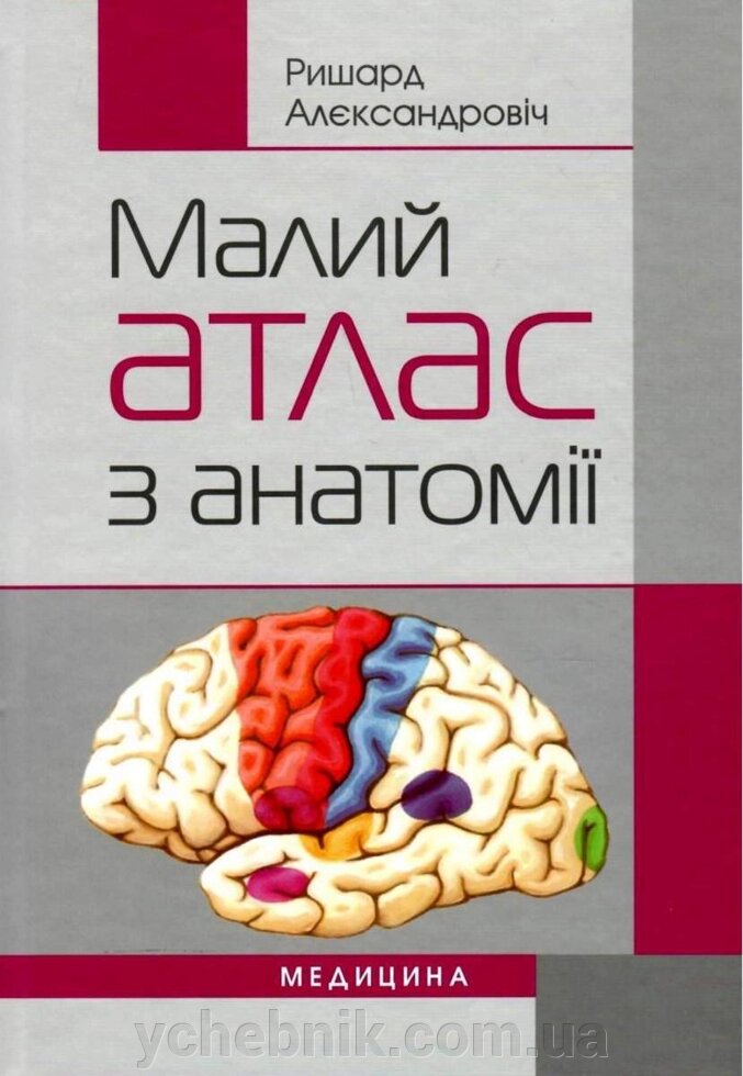 Малий атлас з анатомії Maly atlas anatomiczny Навчальний посібник (ВНЗ І-ІІІ р. А.) Ришард Алєксандровіч 2017 від компанії ychebnik. com. ua - фото 1