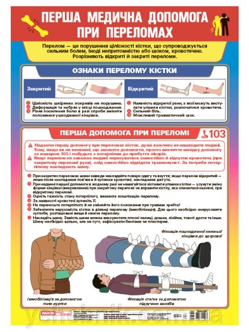 Перша медична допомога при переломах Плакат від компанії ychebnik. com. ua - фото 1