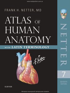 Атлас анатомії людини з латинською термінологією 7-е видання Френк Г. Неттер 2023