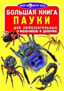 Велика книга. павуки