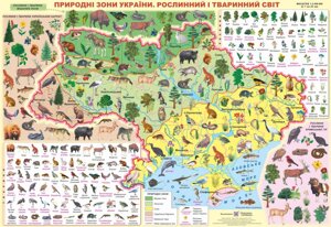 Плакат «Природні зони України. Рослинний и Тваринний світ »Кравчук М.