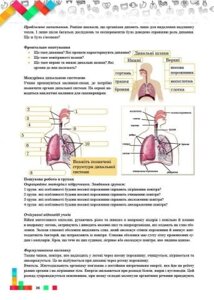 Візуалізація навчального матеріалу на уроках біології у 9 класі Навчально-методичний посібник для вчителів Мердух І.