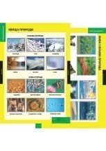 Природознавство, 1-2 класи. Навчально-методичний посібник та додаток з 10 таблиць. від компанії ychebnik. com. ua - фото 1