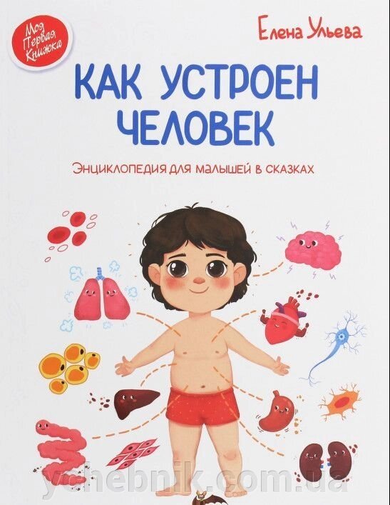 ЯК влаштована людина: Енциклопедія для МАЛЮКІВ У казці Олена вуликів від компанії ychebnik. com. ua - фото 1