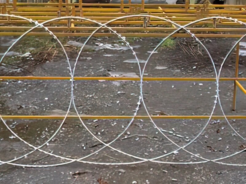 Егоза Стандарт 750 плоское колюче-ружущее заграждение від компанії ТОВ ПГ "Кайман" - фото 1