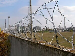 Проволока Егоза Аллигатор 800/5 колючая спираль