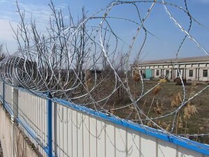 Егоза Аллигатор 900/5 спиральная колючая проволока