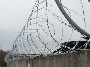 Егоза Аллигатор 950/5 проволока колючая спиральная