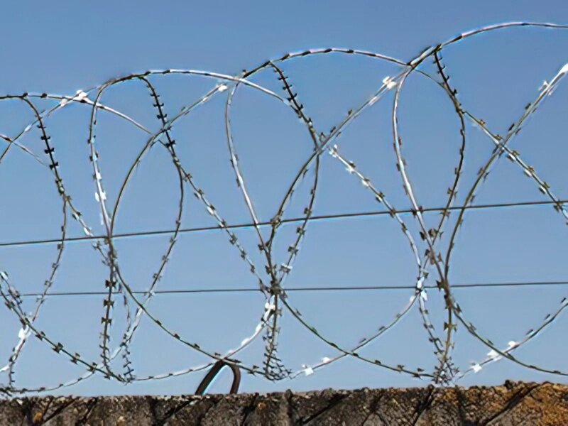 Йогоза Стандарт 400/3, колючий дріт спіраль від компанії ТОВ ПГ "Кайман" - фото 1