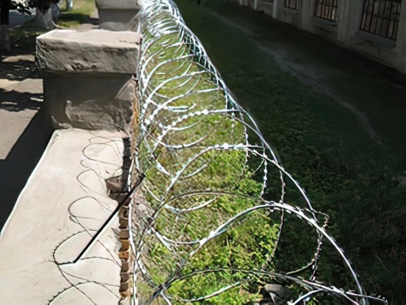 Йогоза Стандарт 450/5 колючий дріт спіральний від компанії ТОВ ПГ "Кайман" - фото 1