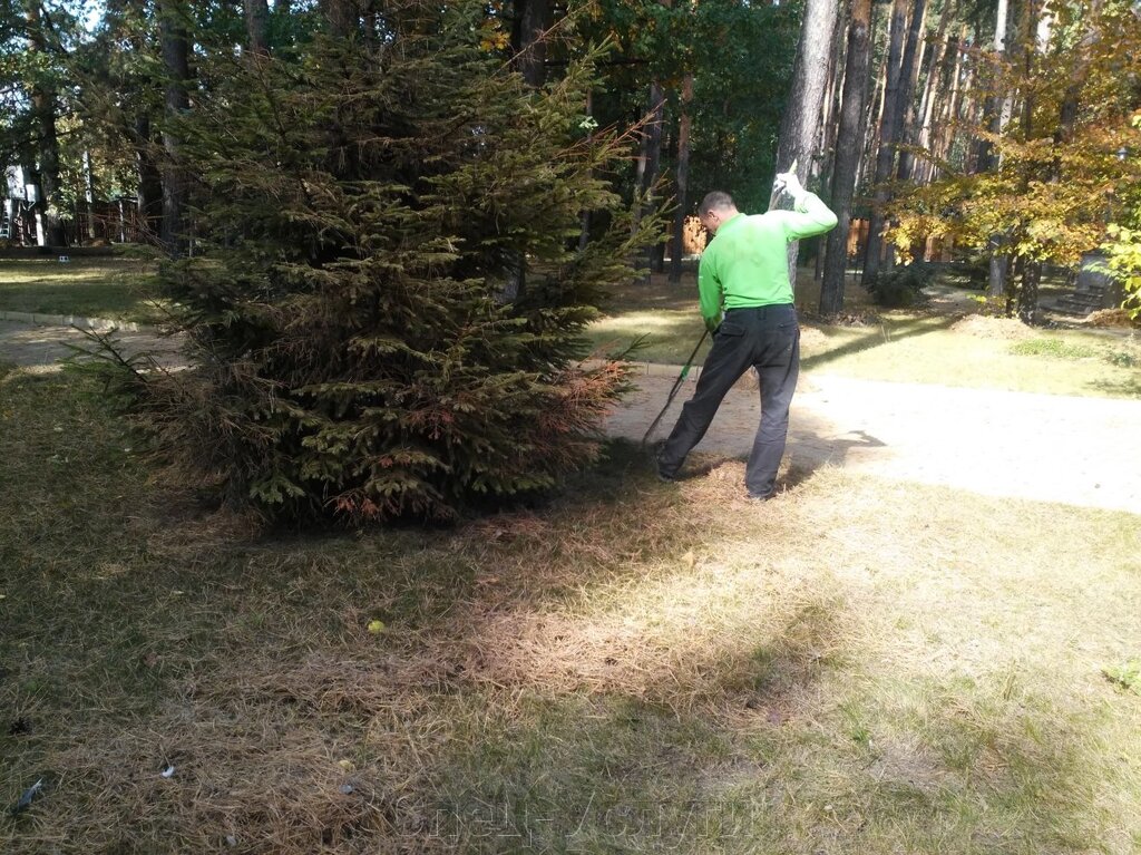 Розчищення ділянки: прибирання листя, обрізка видалення дерев. Прибирання саду. - вибрати