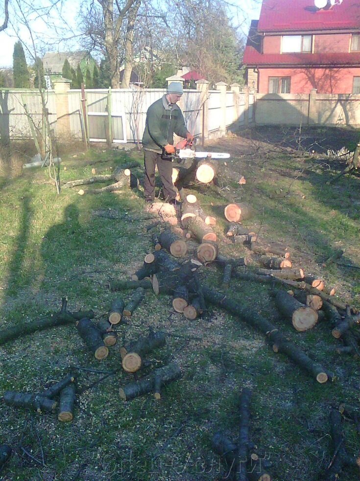 Спиляти дерево. Спиляти дерева Київ. Спіл небезпечних дерев ціна. - знижка