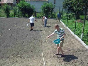 Посів газону. Посів газонної трави Київ.