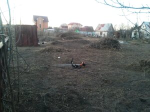 Прибирання ділянки Київ. Прибирання дачної ділянки Київська область. Прибирання порослей, заростей на ділянці.