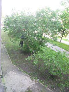 Прибирання ділянок 097 1443135 розчищення території Київ