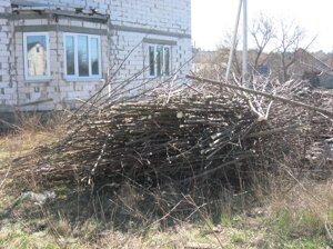 Убрать участок, территорию. Убрать деревья, корни.