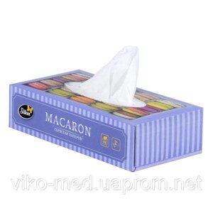 Серветки паперові в картонній упаковці Silken Macaron двошарові 100шт коробка (200*200) (Макарон)