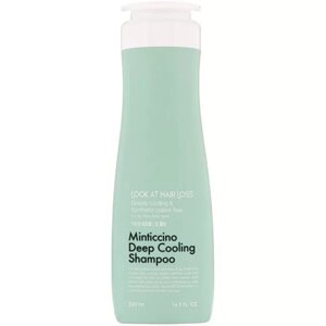 Шампунь проти випадіння волосся та лупи Daeng Gi Meo Ri Look At Hair Loss Minticcino Deep Cooling Shampoo 500 мл