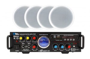 Sky Sound CSM-3104, Акустичний комплект, потужність 100Вт