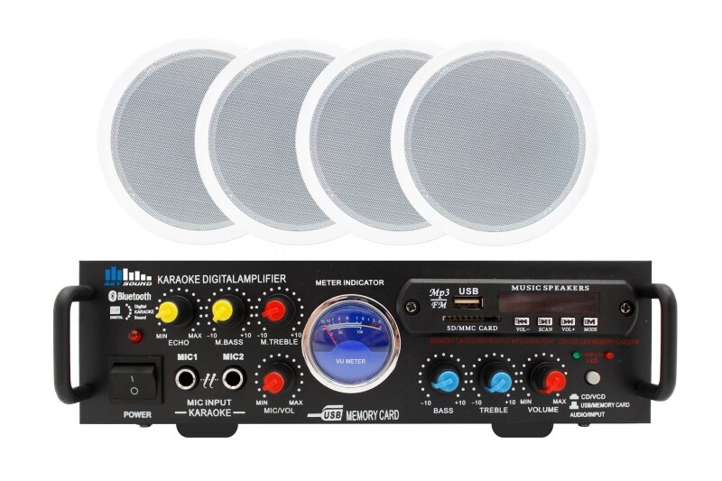 Sky Sound CSM-3104, Акустичний комплект, потужність 100Вт від компанії DiscoShop - фото 1