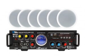 Sky Sound CSM-3106, Акустичний комплект, потужність 100Вт