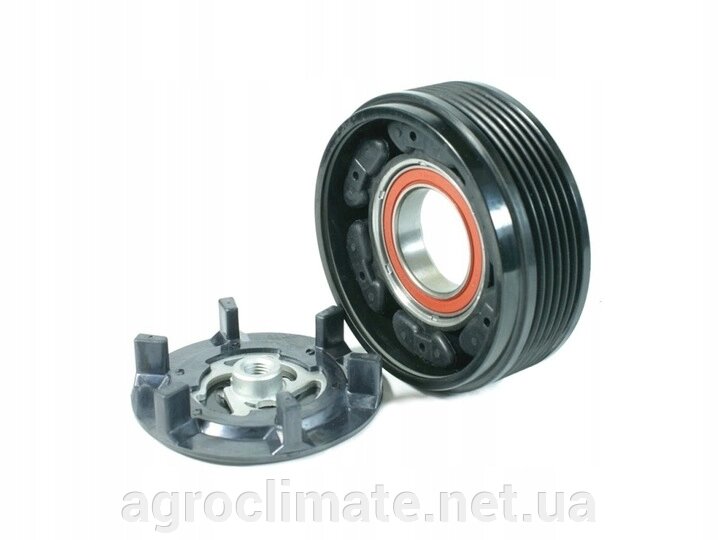 Муфта компресора кондиціонера 5SE12 6PK, 100 MM., 12V BMW (У зборі) від компанії Agroclimate - фото 1