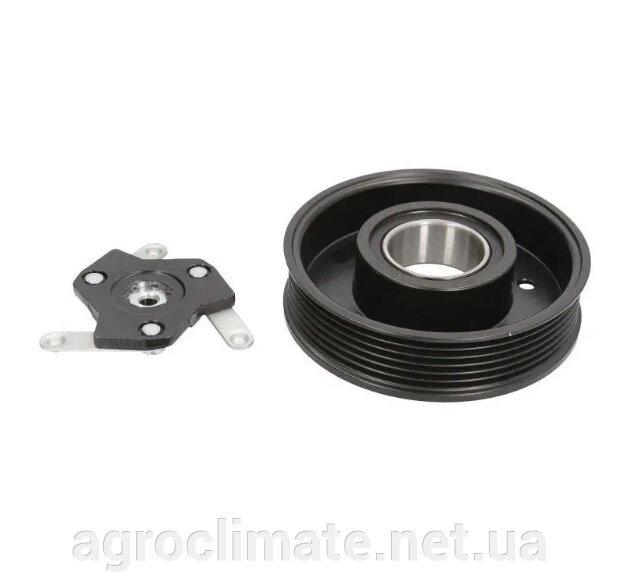 Муфта компресора кондиціонера DELPHI DH5 6PK, 115 MM., 12V AUDI, SEAT (У зборі) від компанії Agroclimate - фото 1