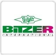 Олива синтетична BITZER BSE 32