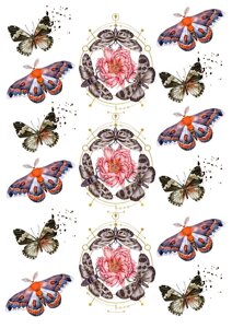 Вафельна картинка Метелики 7 в Дніпропетровській області от компании Интернет магазин "СМАК"