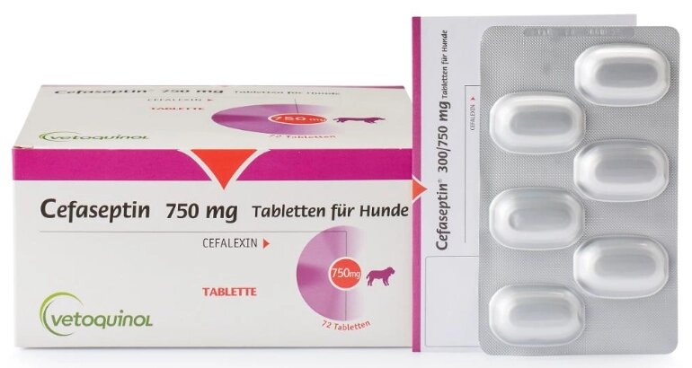 Цефасептин (Cefaseptin) 750 мг №6 таблеток 1т/50 кг (для лікування собак при захворюваннях шкіри) Vetoquinol від компанії ZooVet - Інтернет зоомагазин самих низьких цін - фото 1