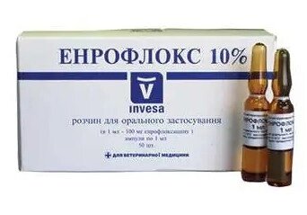 Енрофлокс 10% 1мл №50 (Енрофлоксацин) (ціна за 50 ампул) від компанії ZooVet - Інтернет зоомагазин самих низьких цін - фото 1