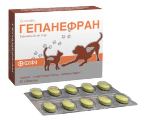 Гепанефран №30 таблетки гепатопротектор для котів і собак, БХФЗ від компанії ZooVet - Інтернет зоомагазин самих низьких цін - фото 1