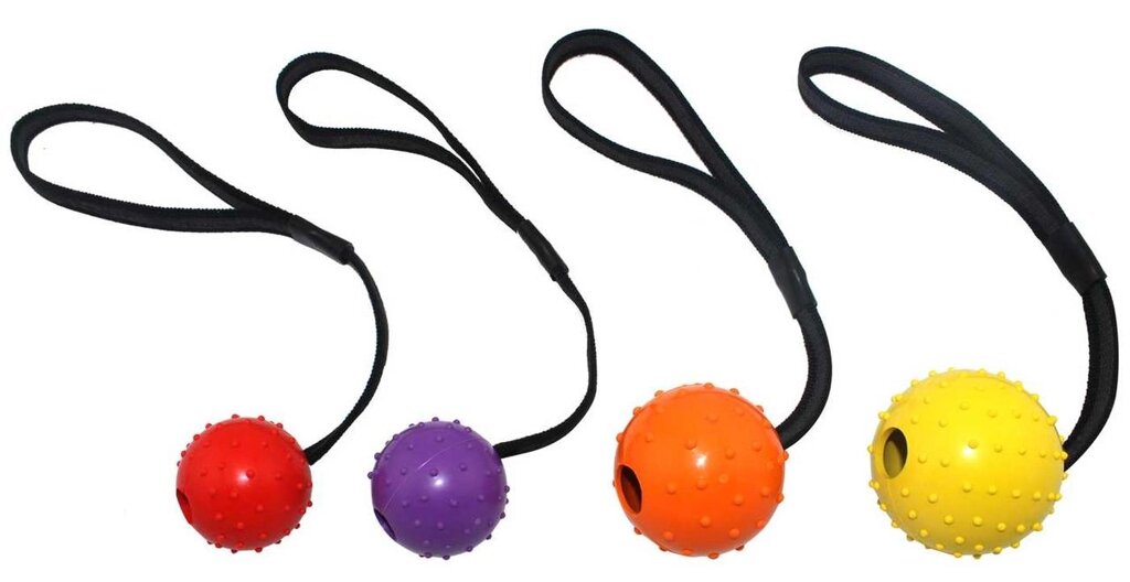 Іграшка гумовий М'яч з шипами на мотузці 6*30см ER055 ZooMax від компанії ZooVet - Інтернет зоомагазин самих низьких цін - фото 1