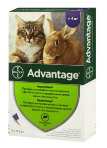 Краплі від бліх Advantage (Адвантейдж) 80 для котів і декоративних кролів вагою понад 4 кг (1 піпетка 0,8 мл) Bayer