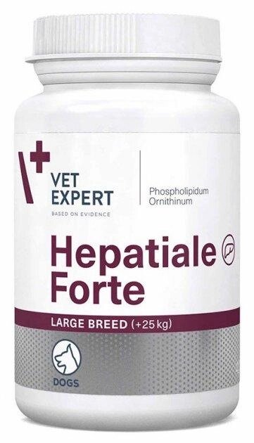 Кормова добавка HEPATIALE  Forte Large Breed +25 кг для покращення функцій печінки великих порід собак 40 таблеток від компанії ZooVet - Інтернет зоомагазин самих низьких цін - фото 1