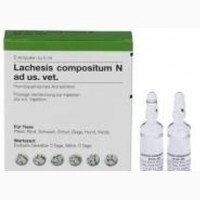 Lachesis compositum (Лахезіс композитум) ветеринарний 5 мл №5, Heel від компанії ZooVet - Інтернет зоомагазин самих низьких цін - фото 1