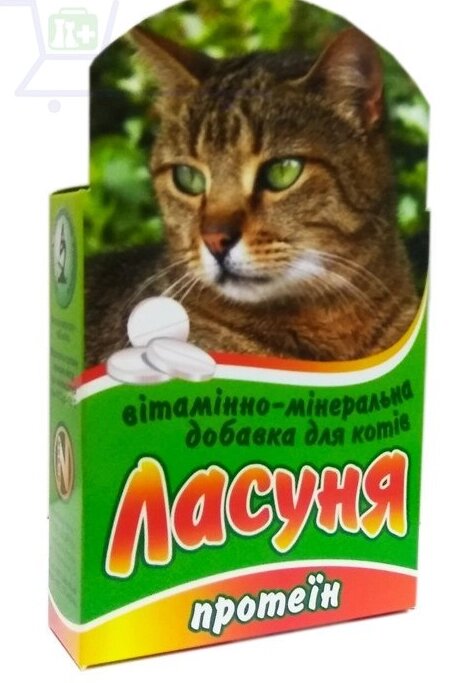 "Ласуня Протеїн" - вітамінно-мінеральна добавка для котів (100 табл.), Норіс від компанії ZooVet - Інтернет зоомагазин самих низьких цін - фото 1