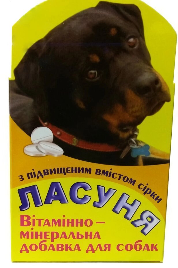 "Ласуня Сірка" - вітамінно-мінеральна добавка для собак (100 табл.), Норіс від компанії ZooVet - Інтернет зоомагазин самих низьких цін - фото 1