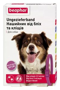 Нашийник Беафар для собак від бліх і кліщів фіолетовий 65 см Beaphar