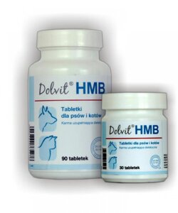 Вітамінно-мінеральна добавка для собак і кішок Dolfos Dolvit HMB, 30 таб. (нирки)