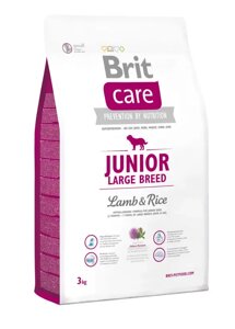 Сухий корм Бріт Brit Care Junior Large Breed Lamb & Rice для цуценят і молодих собак великих порід 3 кг